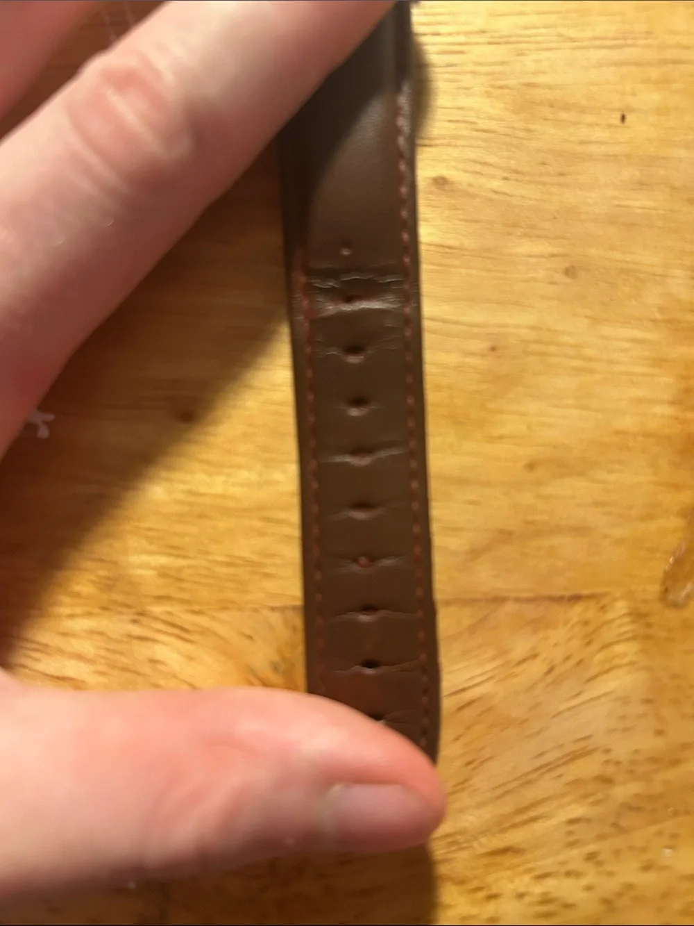 Men’s Gold Plated Watch with Brown Genuine Leather Strap